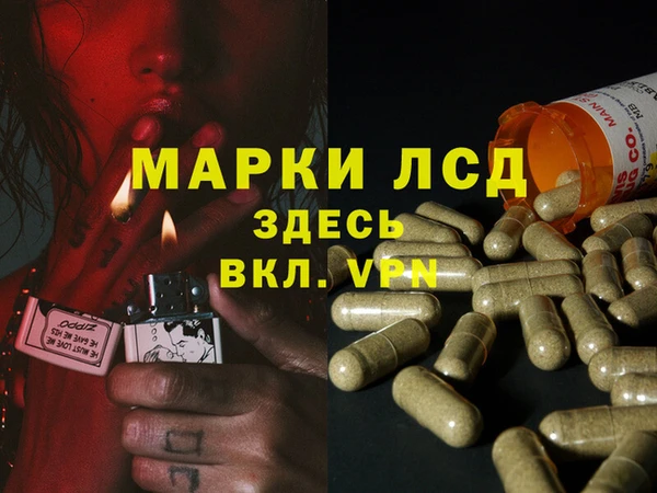 ПСИЛОЦИБИНОВЫЕ ГРИБЫ Вязьма