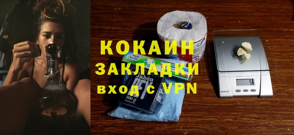 мет Бородино