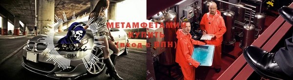 ПСИЛОЦИБИНОВЫЕ ГРИБЫ Вязьма