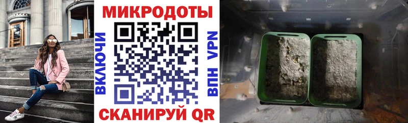 где купить   Железноводск  hydra рабочий сайт  Псилоцибиновые грибы мицелий 